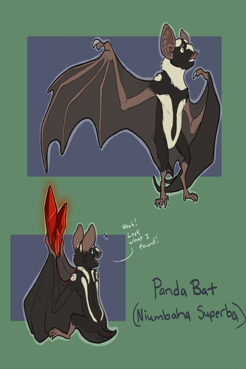 Adoptable-Panda Bat — Weasyl  Bat, Panda, Animals