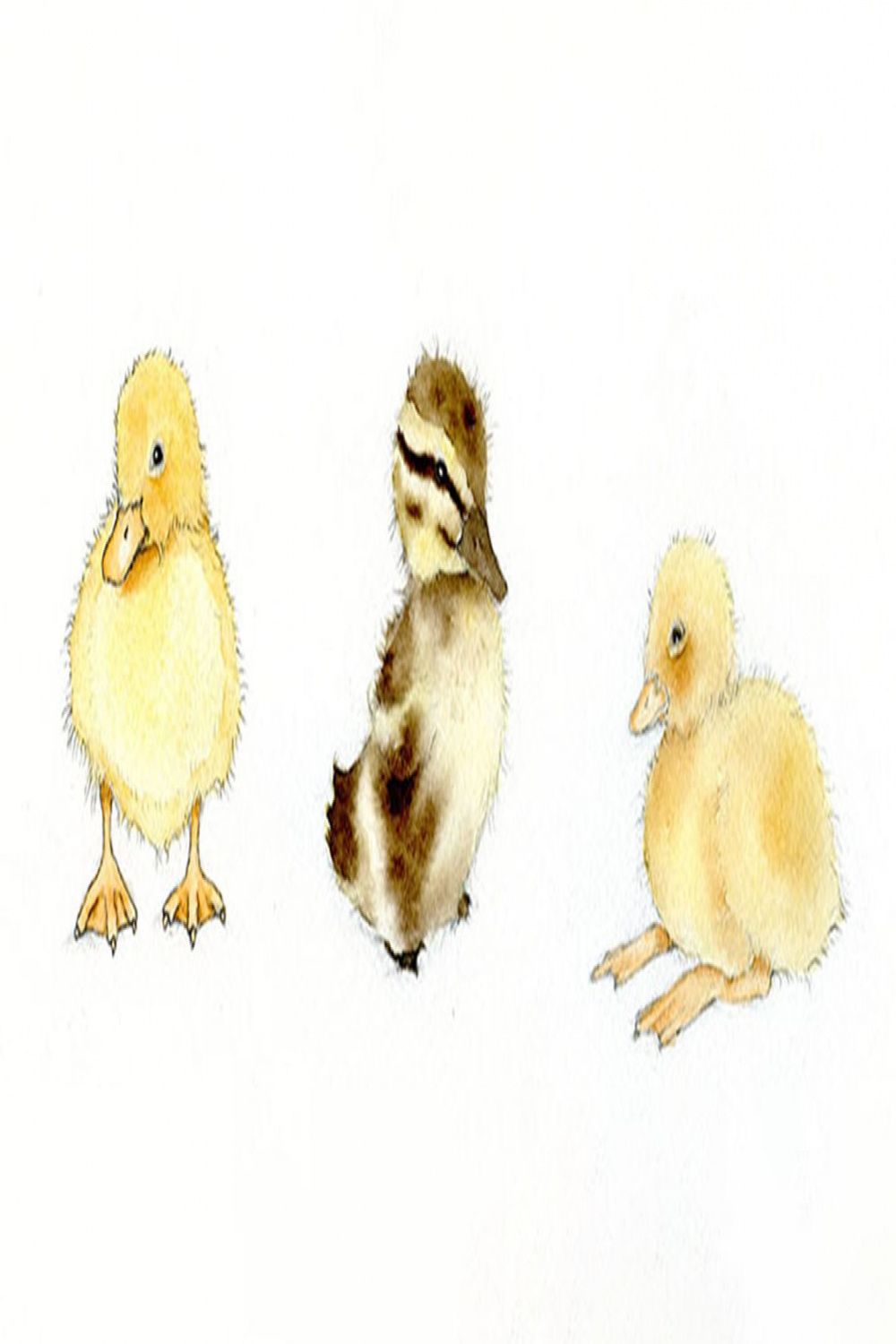 Adorable Art: Learn How to Draw and Paint a Duckling  Craftsy