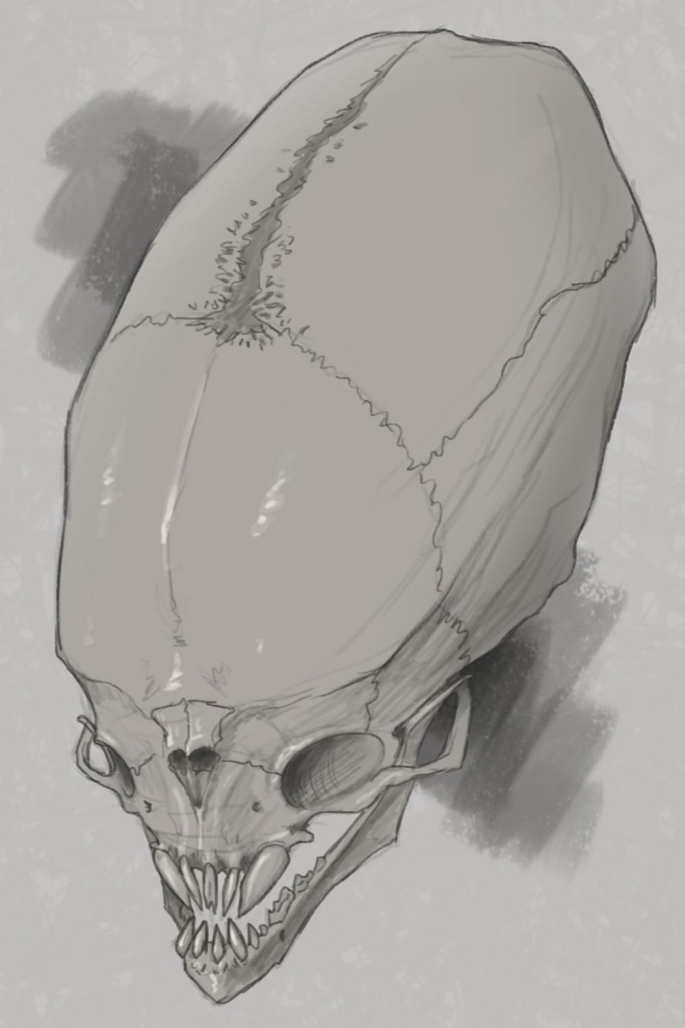 Alien Skull Sketch by rob-powell on DeviantArt