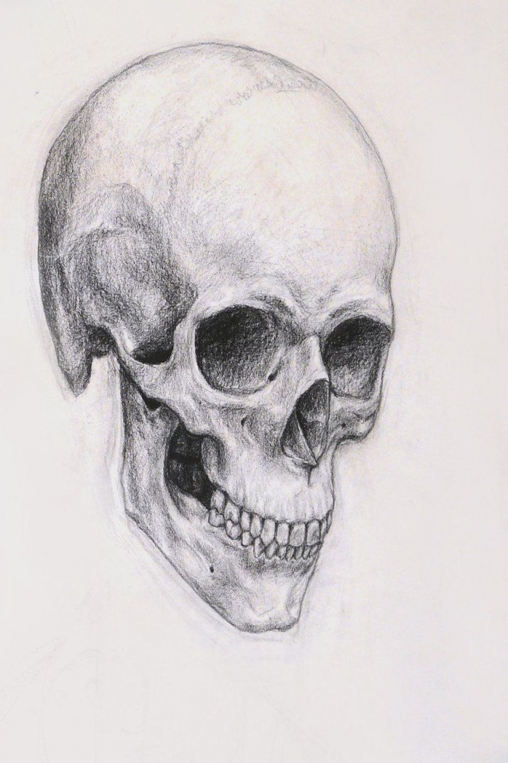 Anatomy  Schädelskizze, Schädelzeichnungen, Augenmalerei