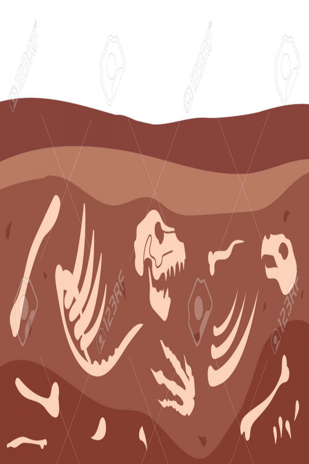 Archeology Bones