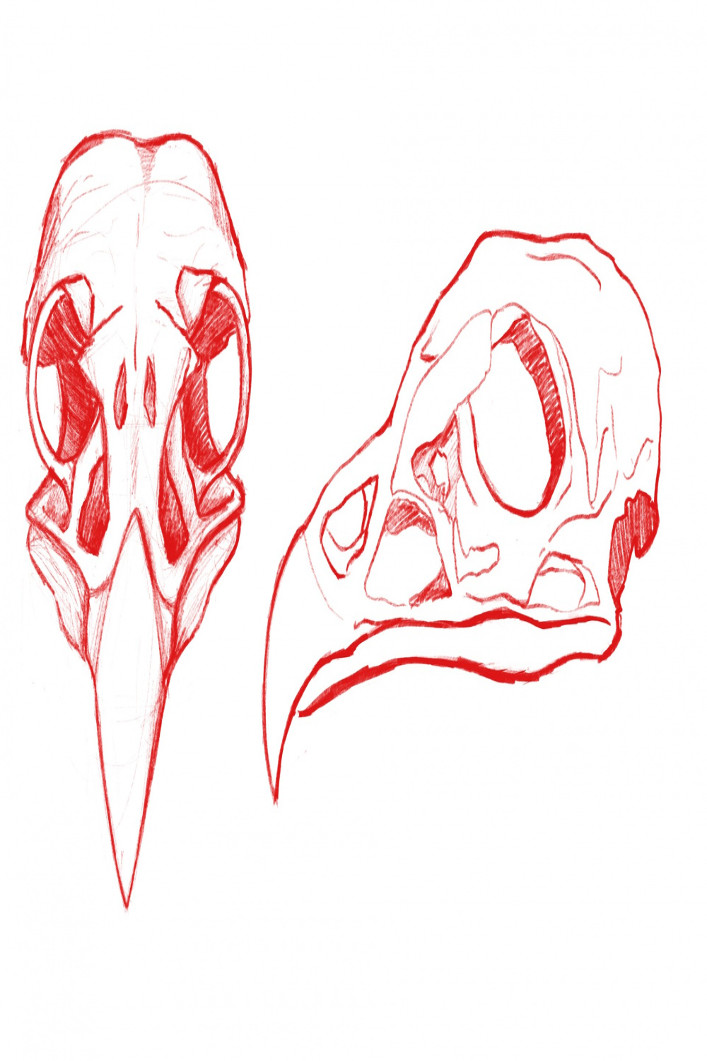 ArtStation - Vulture Skull