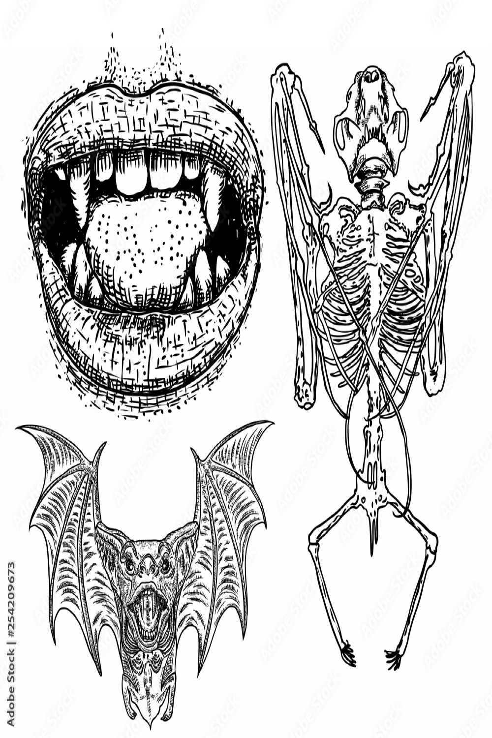 Bat and bat skeleton set drawing. Human lips with fangs