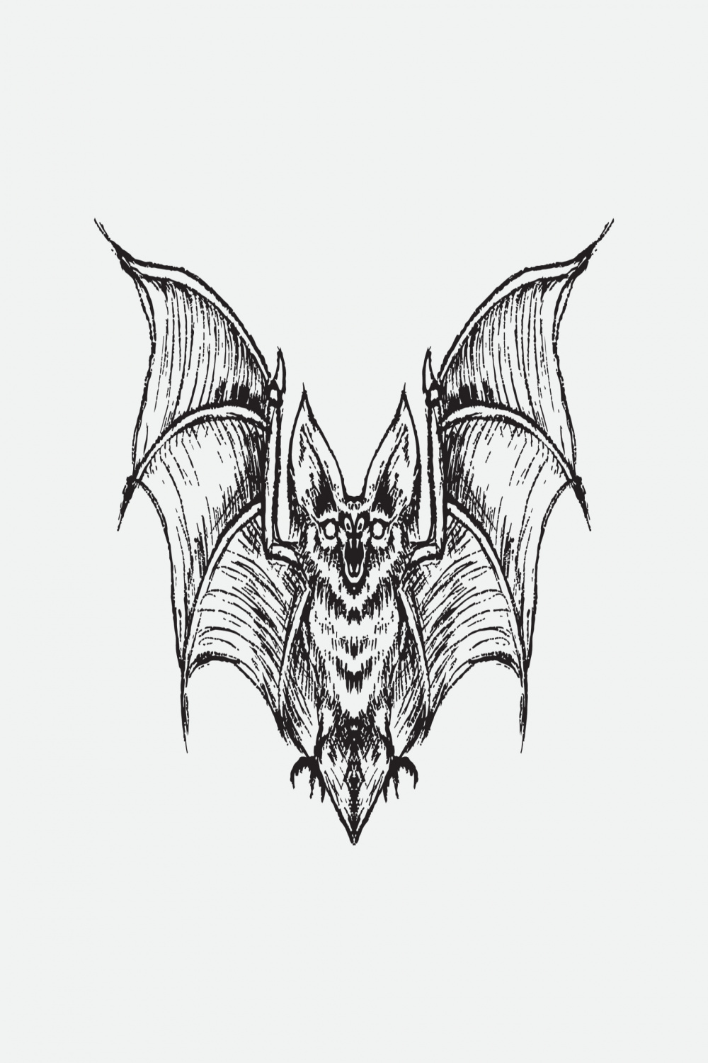 Bat drawing vector illustration,  Vector Art at Vecteezy