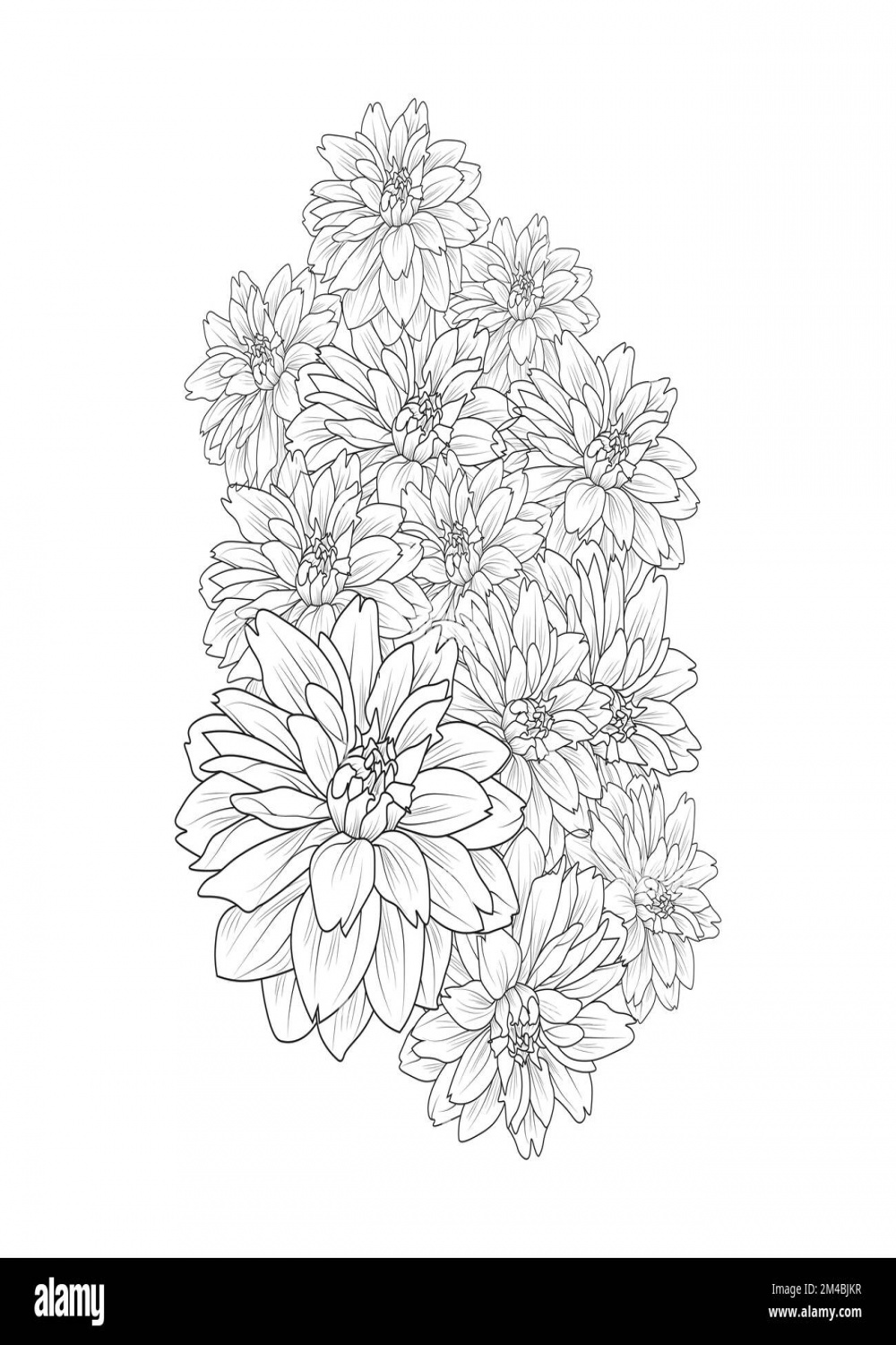 beautiful flowers coloring page with pencil sketch drawing
