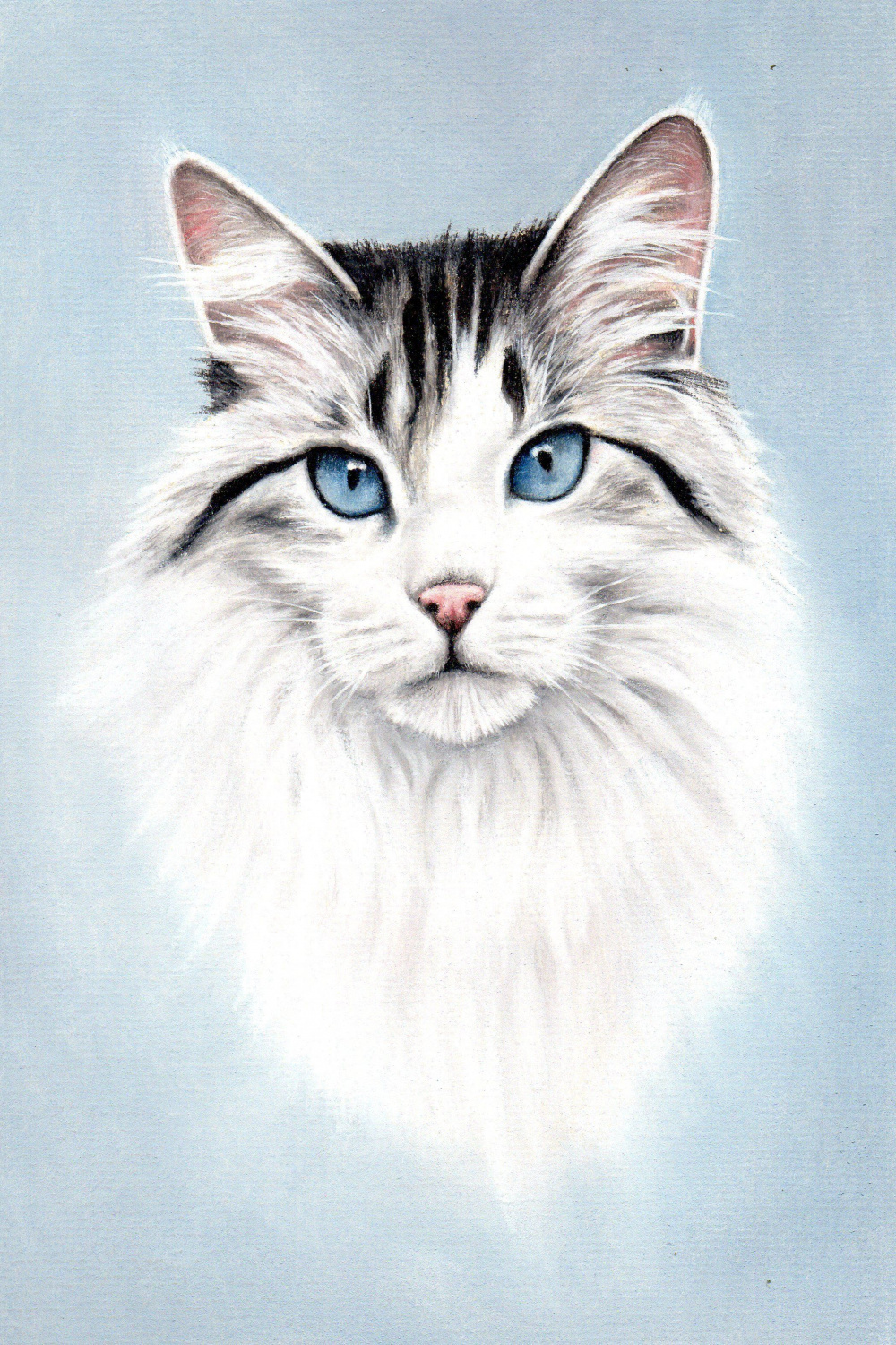 Beautiful Long haired Cat Drawing with Pastel Pencils  Cat art