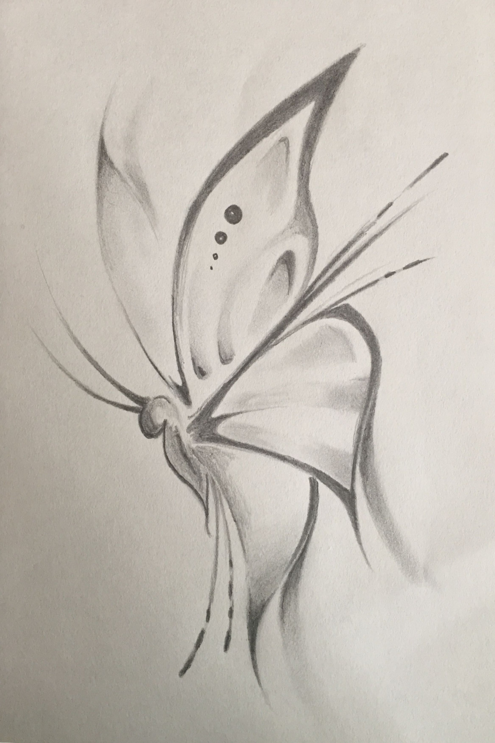 Beautiful Pencil Butterfly  Butterfly art drawing, Butterfly
