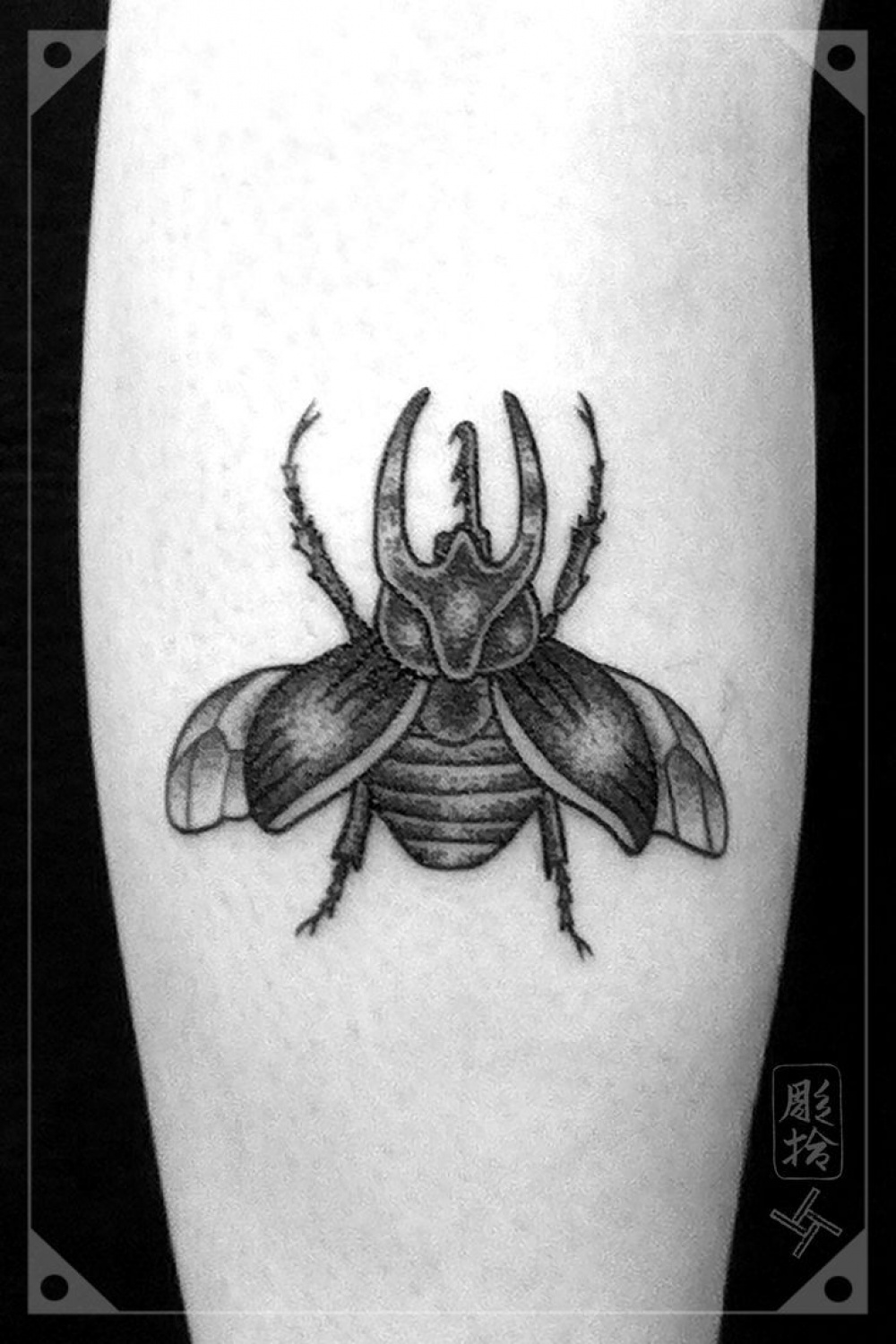 Beetle tattoo, Insect tattoo, Tattoos with meaning