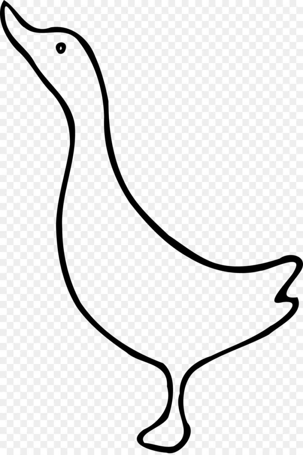 Bird Line Drawing png download -  - Free Transparent Duck