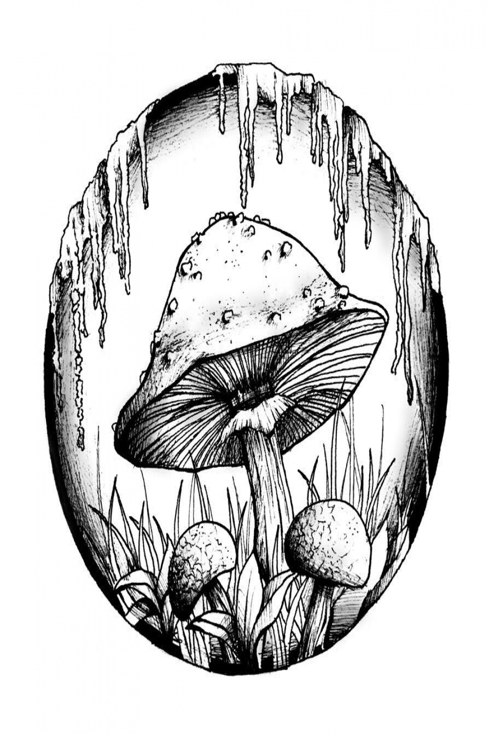 Black & White mushroom drawing  Mushroom drawing, Drawings
