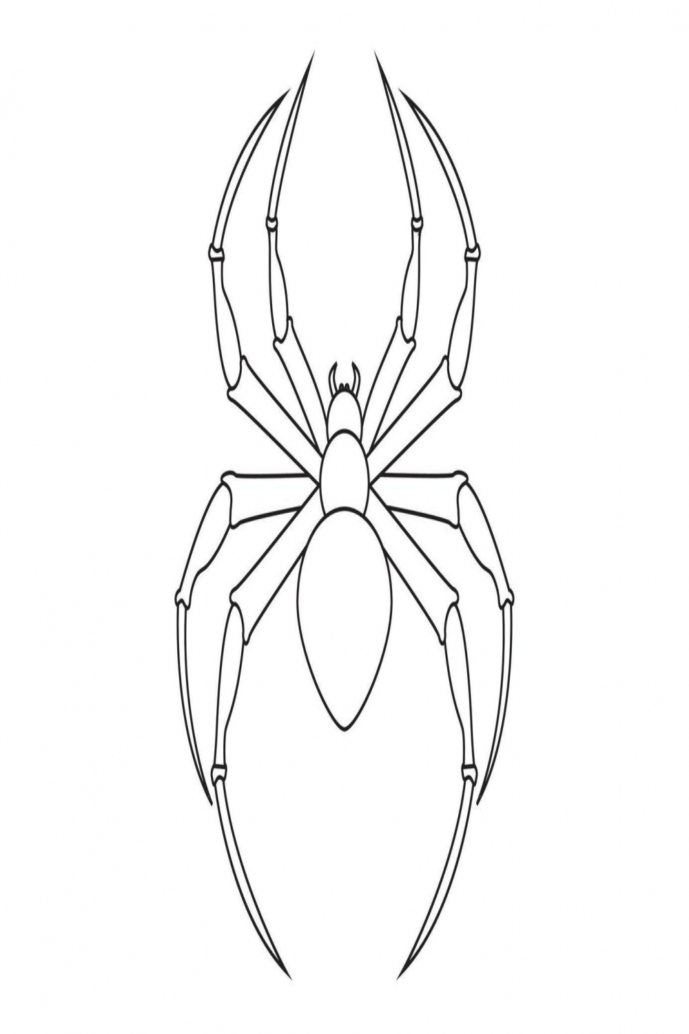 Black and white Spider Clipart. Arachnia
