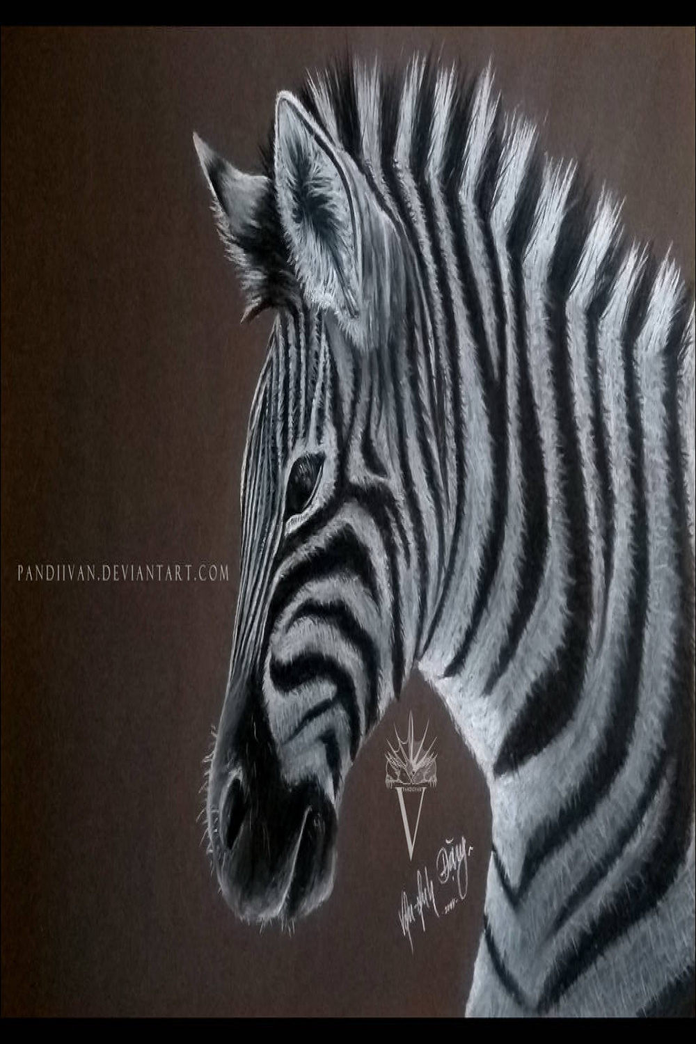 Black Paper Drawing: Zebra by PandiiVan on DeviantArt