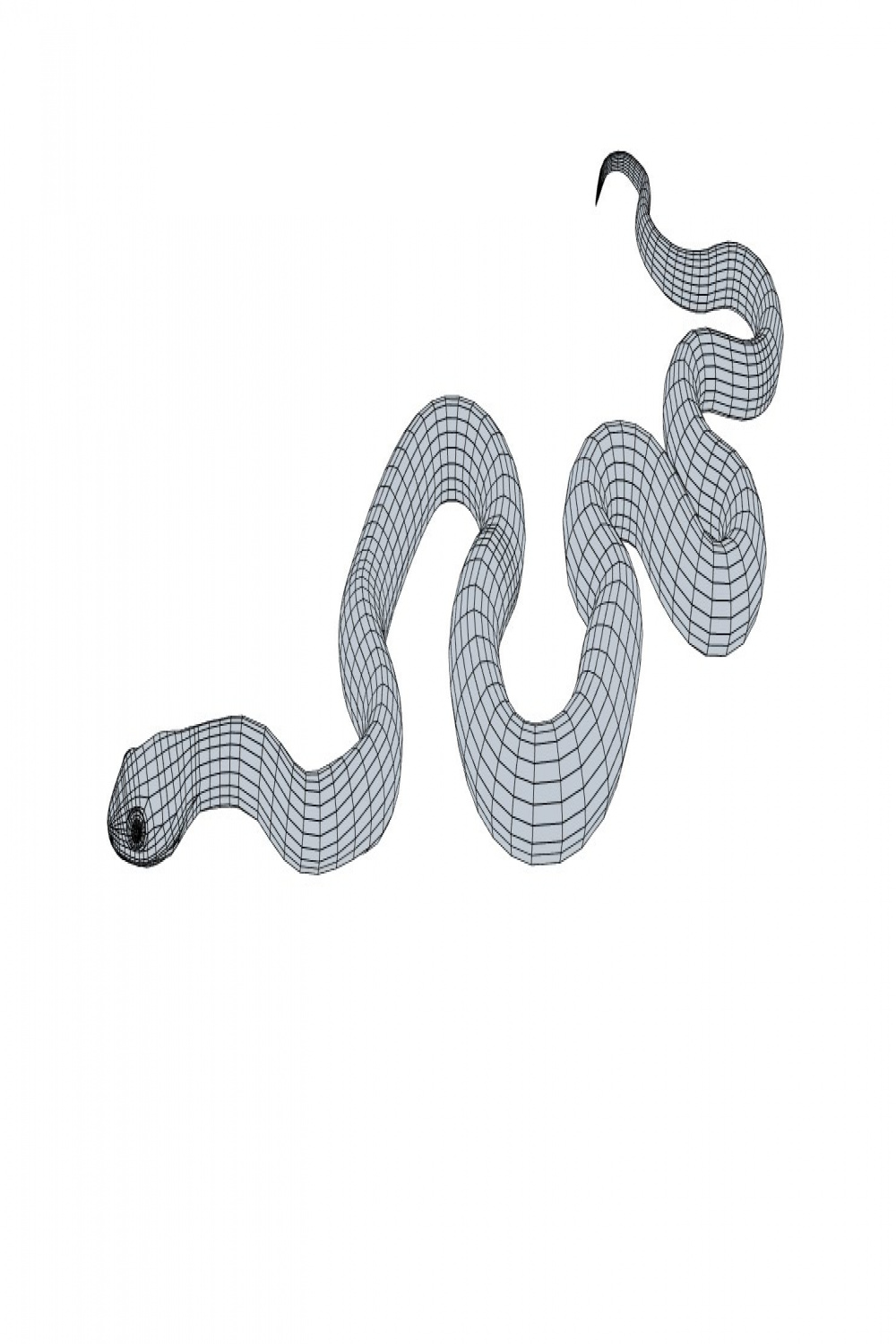 boomslang snake - animated D-Modell in Reptilien DExport