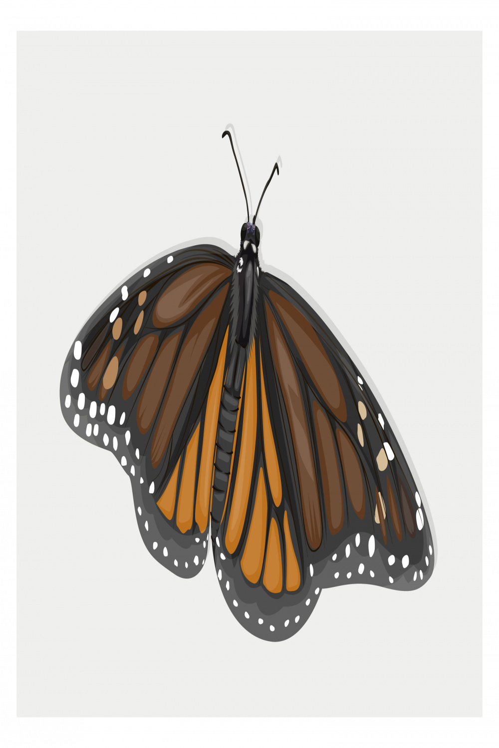 Brown winged butterfly hand drawing  Vector Art at Vecteezy