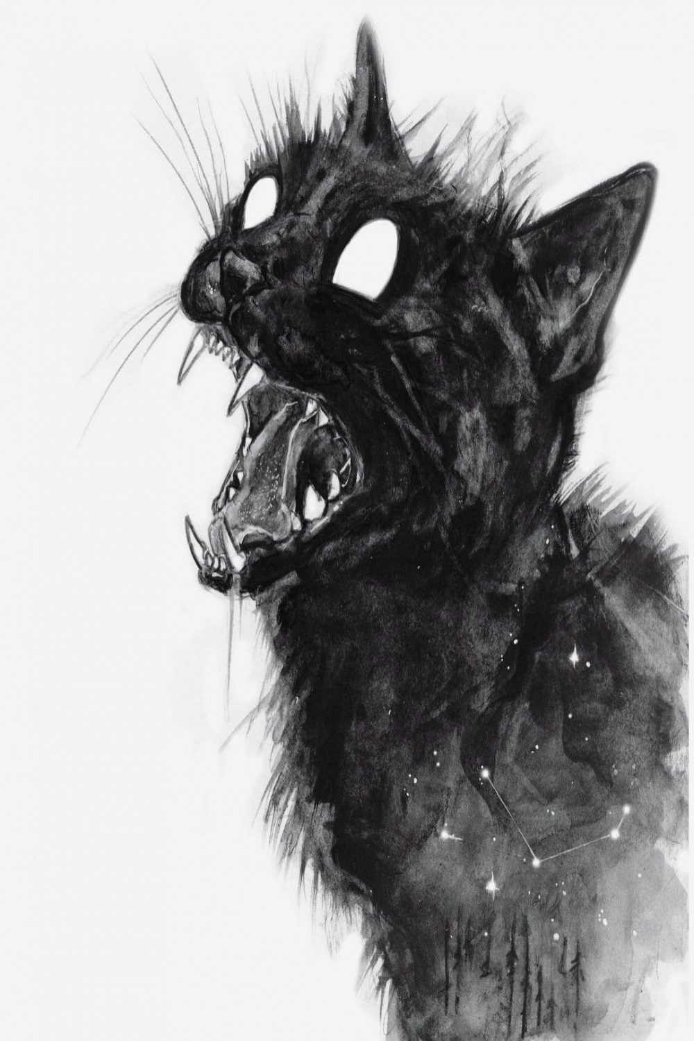 bserway  Creepy cat, Horror art, Scary art
