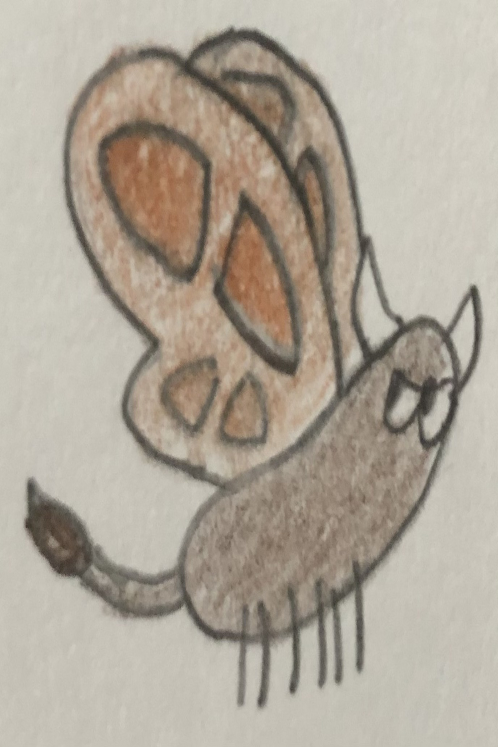 Buffalo-Fly by JJSponge on DeviantArt