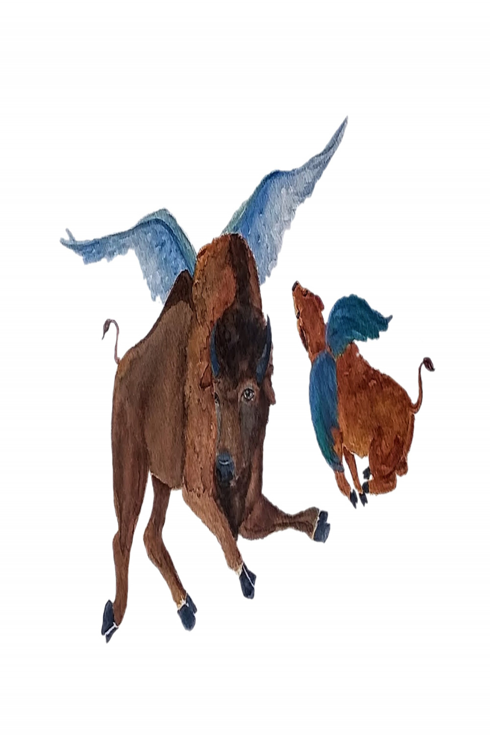Buffalo Wings Watercolor Print - Etsy