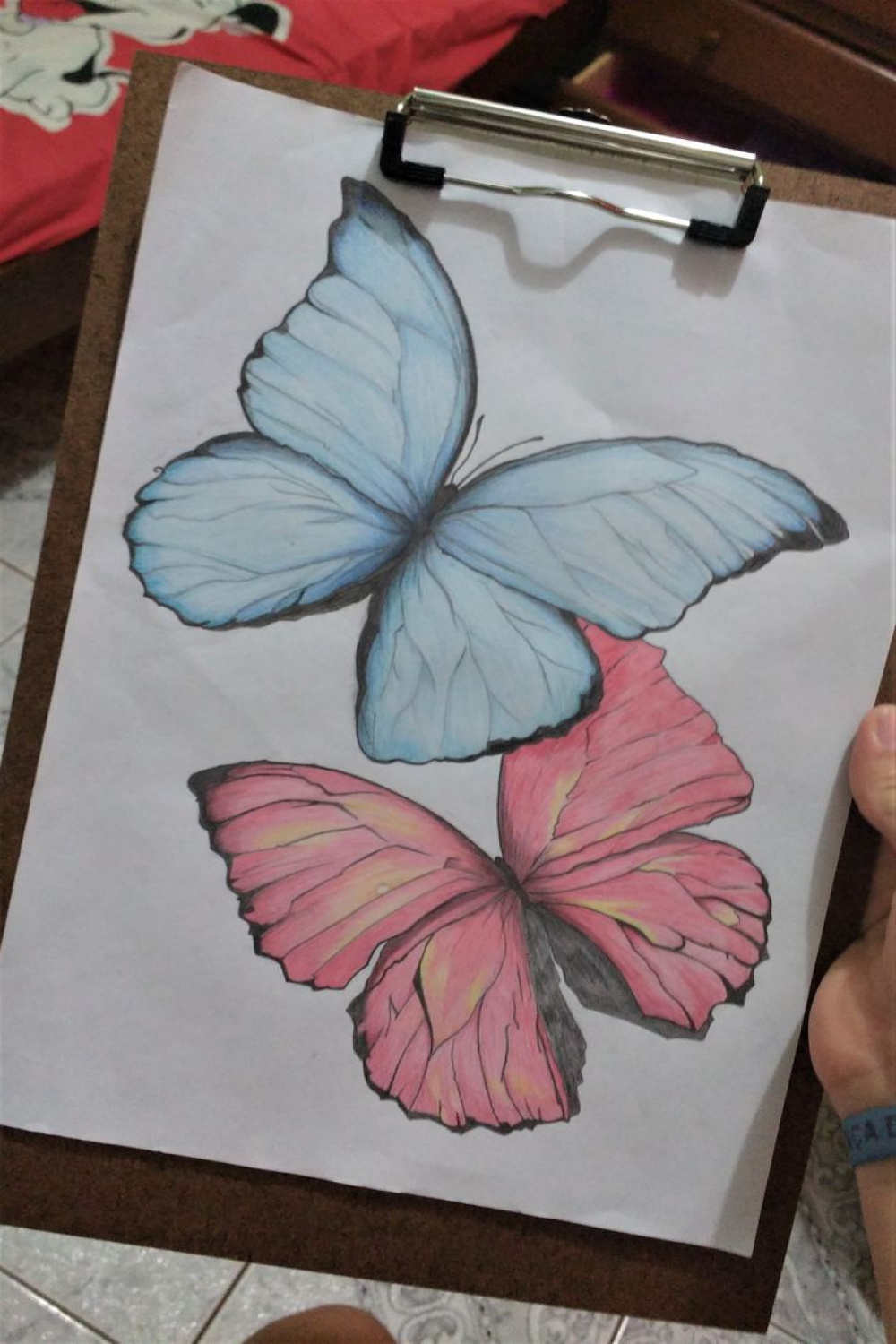 butterflies #butterfly #drawing #borboletas #draw #art  Insecten