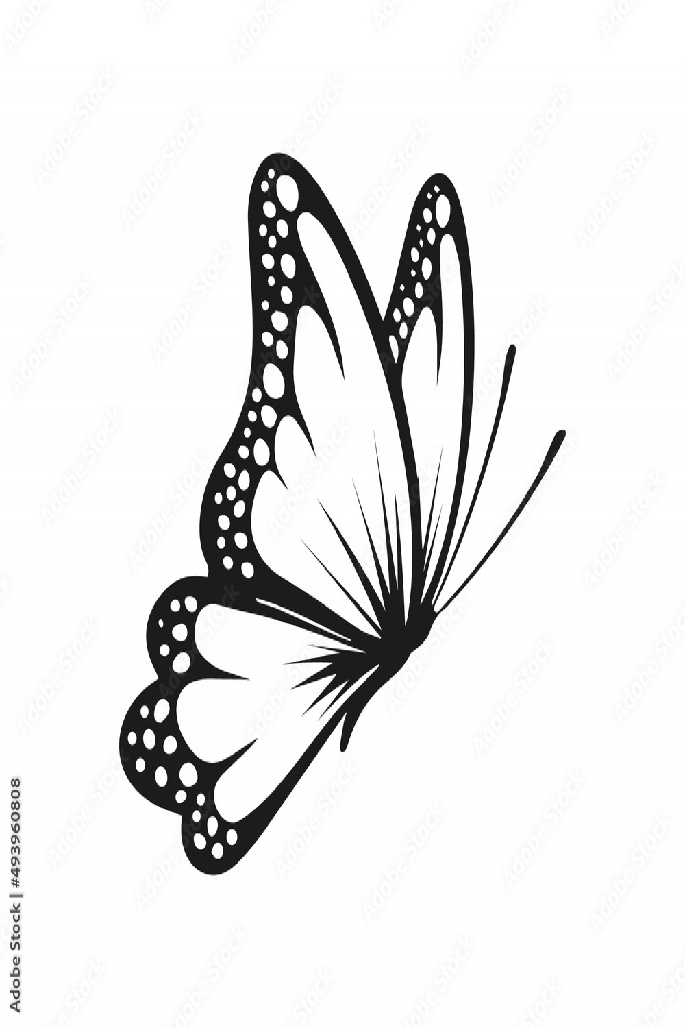butterfly drawing art vector design Stock-Vektorgrafik  Adobe Stock