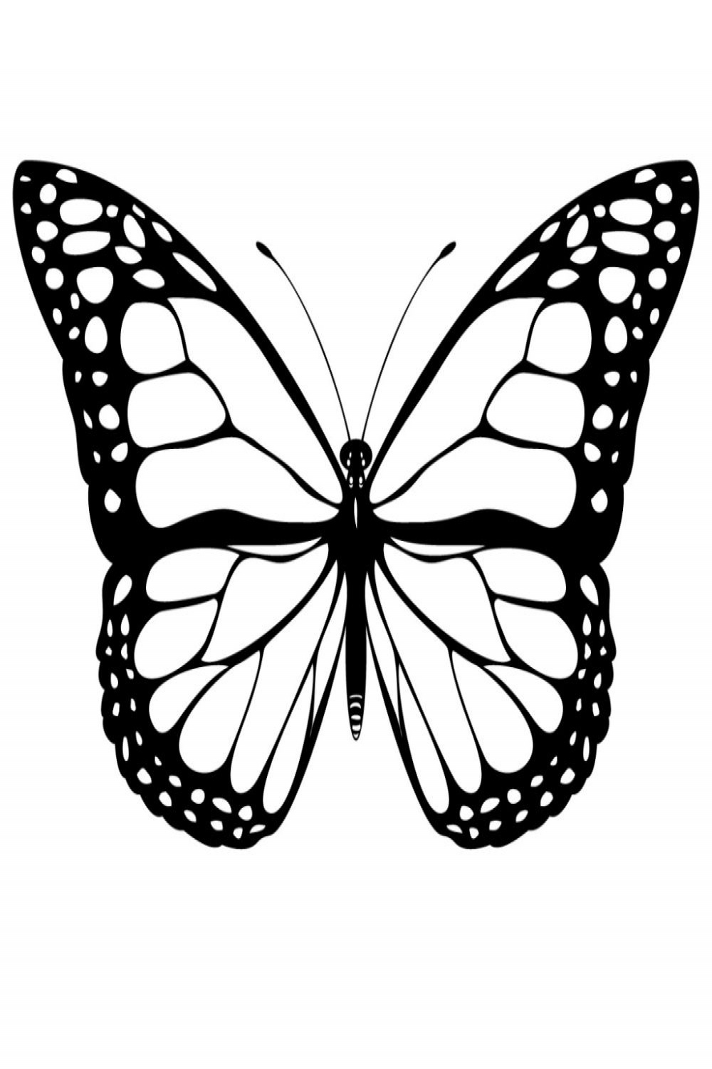 BUTTERFLY DRAWINGS ideas  butterfly drawing, butterfly, drawings