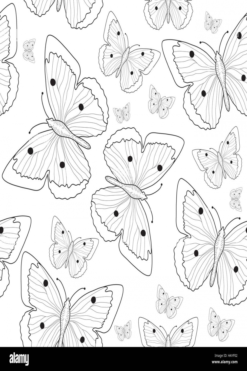 Butterfly hand drawing seamless pattern sketch