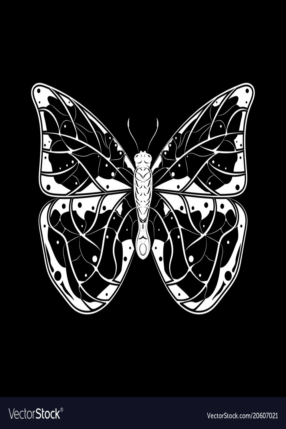 Butterfly white drawing on black background Vector Image