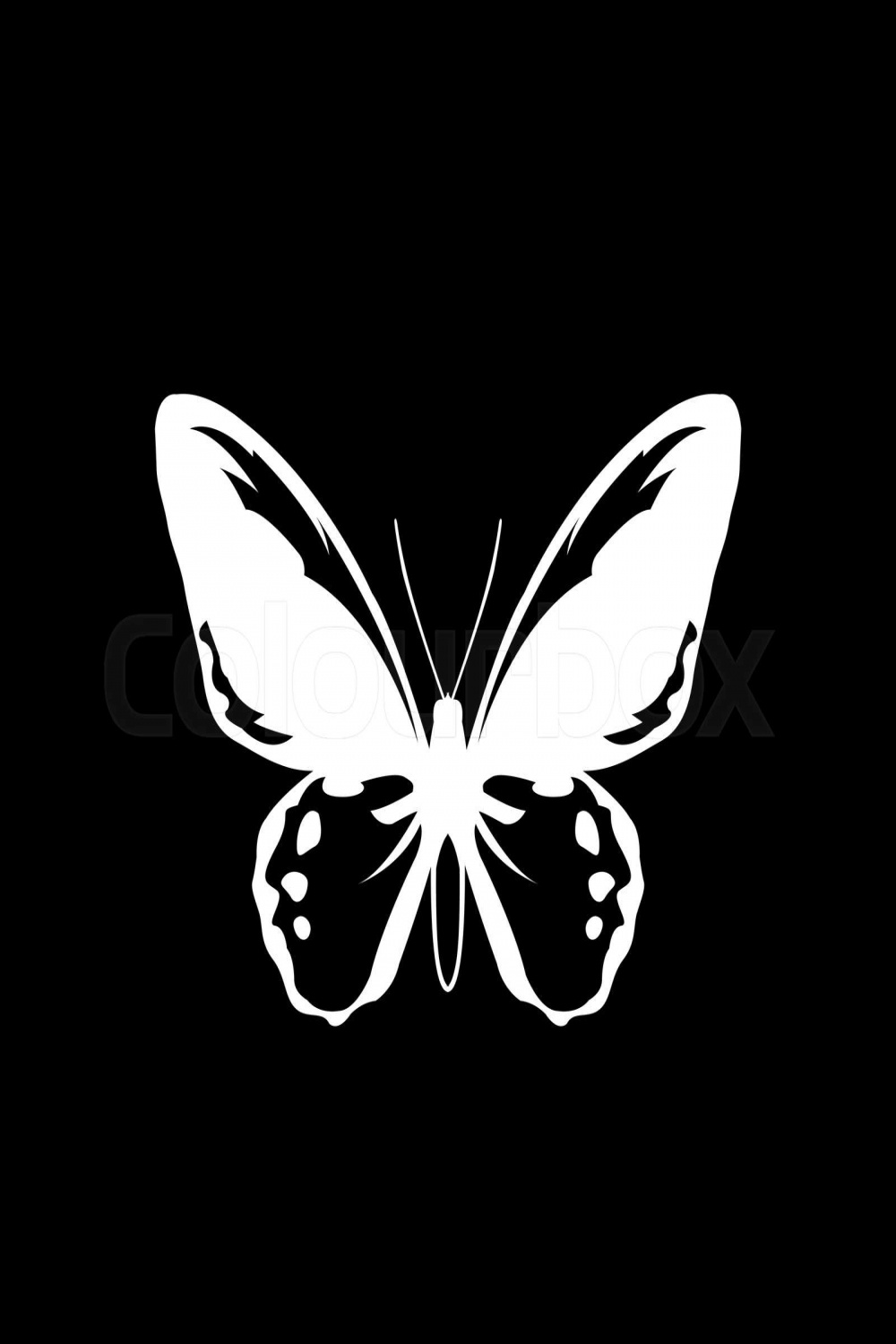 Butterfly white sign black background simple illustration  Stock