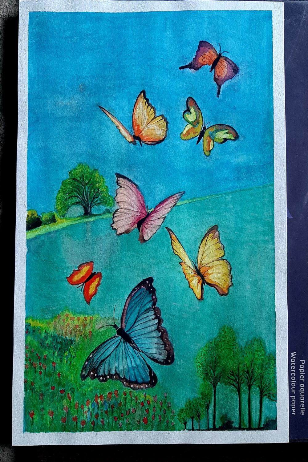 Buy Butterflies Drawing Original Butterfly Scenery Morning With
