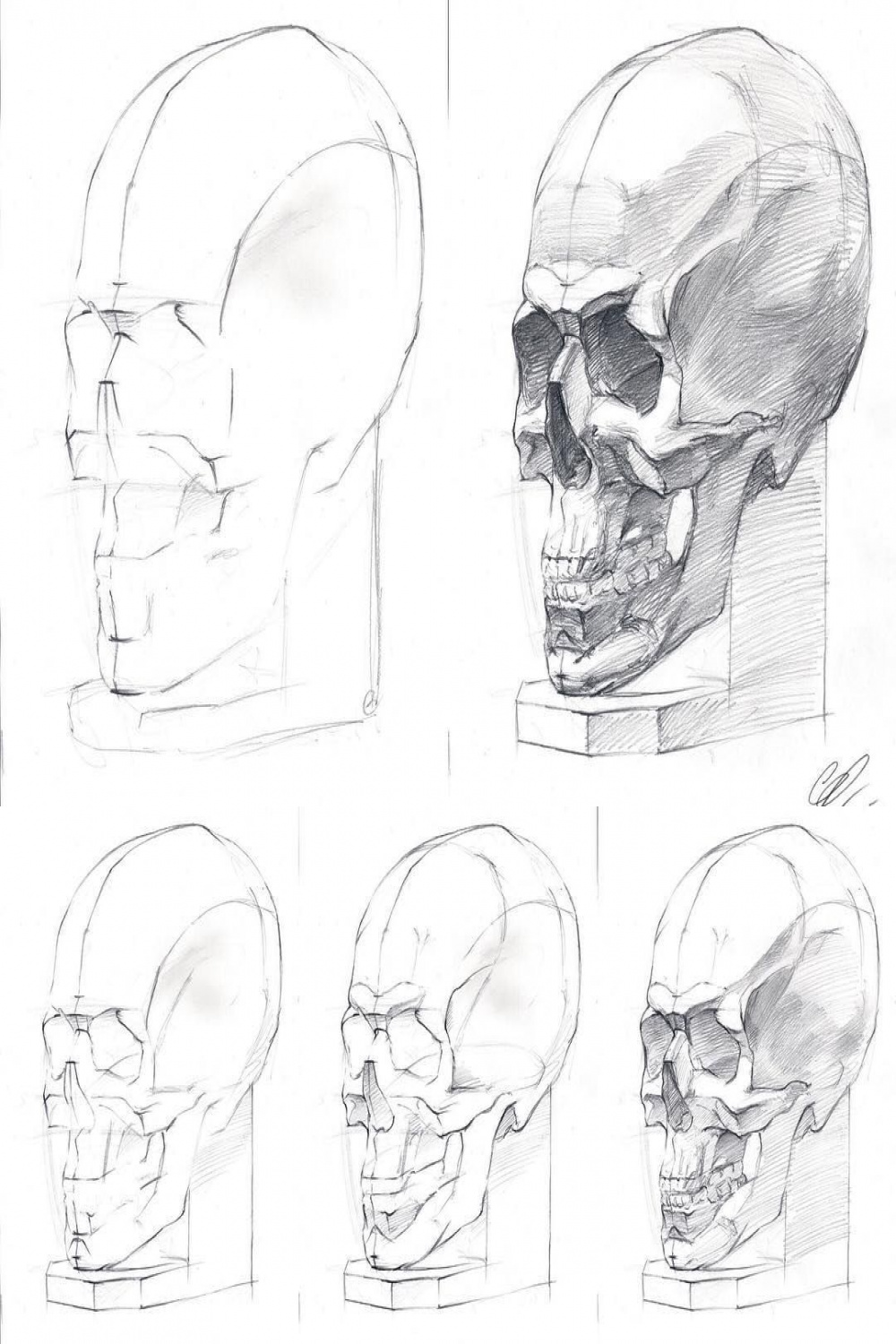 By @barbussergei How to draw a human skull, drawing tutorial