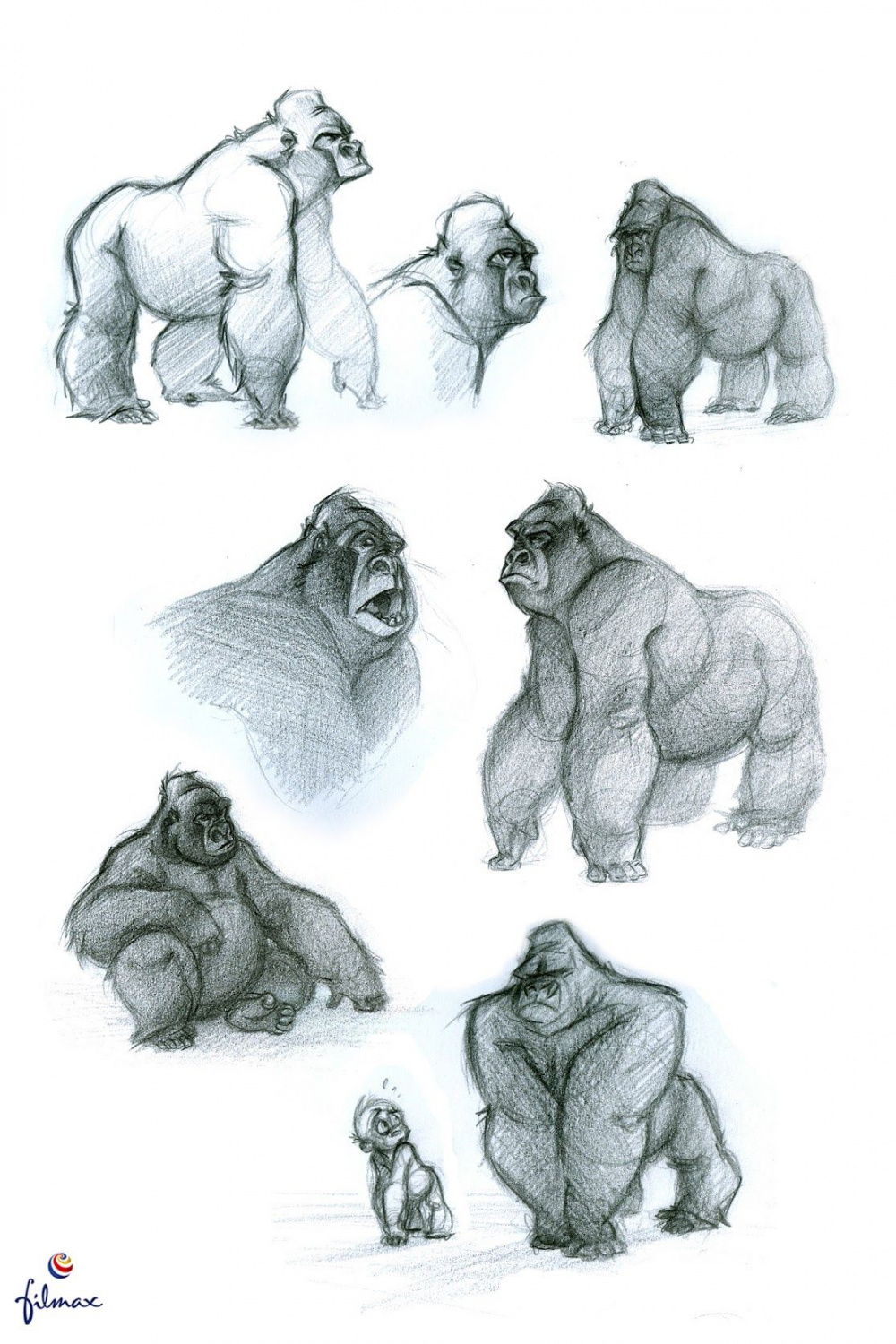 CAROLINA CUENCA INTERVIEW  Realistic drawings, Gorillas art