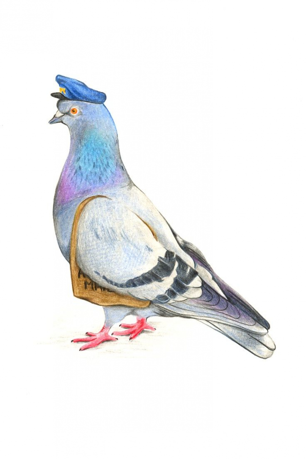 carrier pigeon drawing - Google Search  Bird illustration, Bird
