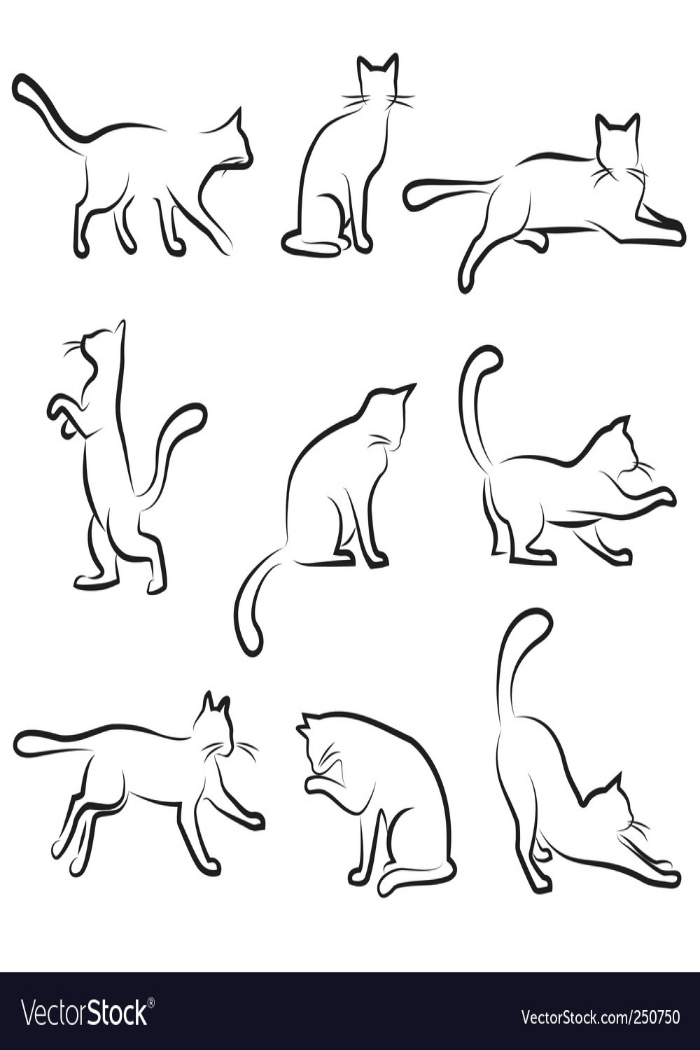 Cat drawing set Royalty Free Vector Image - VectorStock