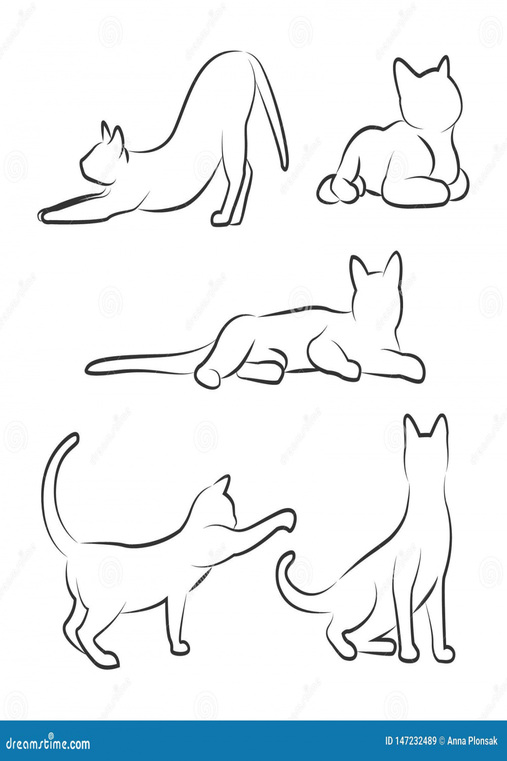 Cat in Different Poses. Sketch of a Cat