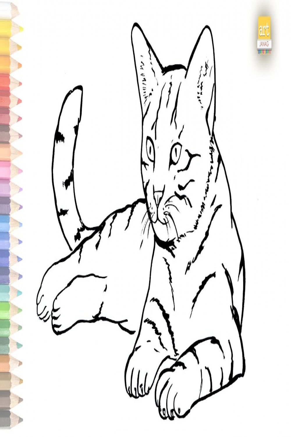 Cat outline drawing  / How to draw A Cat drawing step by step / #artjanag
