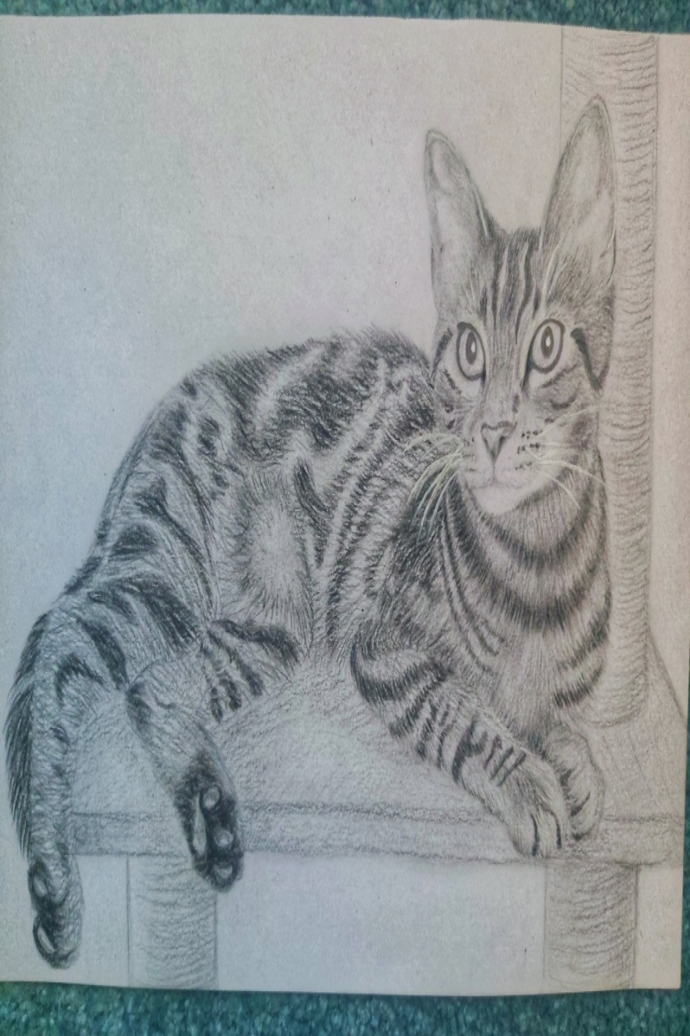 Cat Pencil Sketch – Alphe
