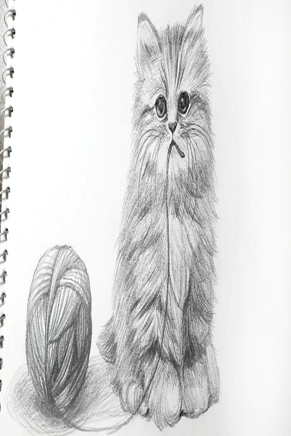 Cat with ball of yarn - pencil drawing sounds ASMR