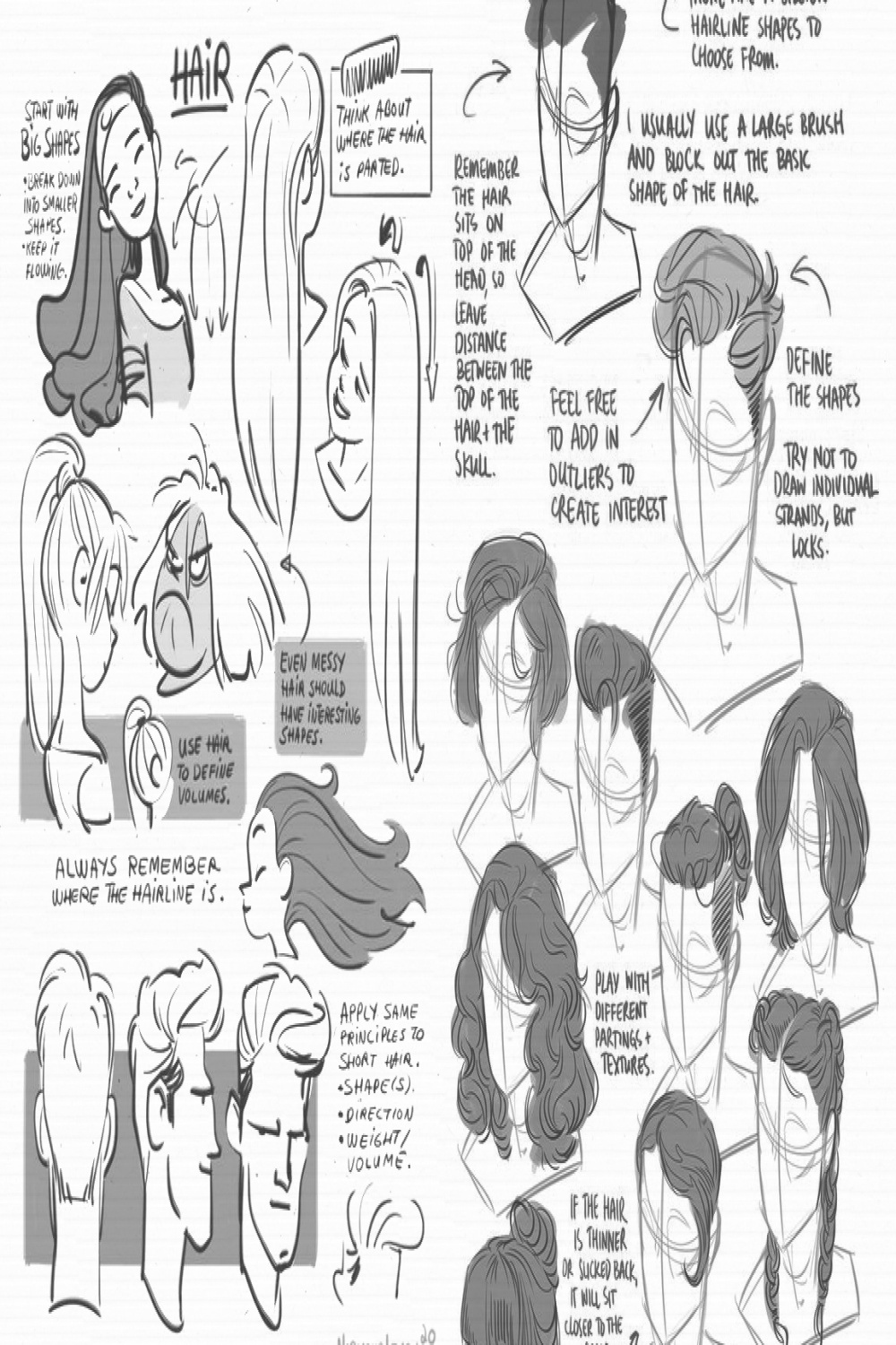 Character Anatomy  Hair