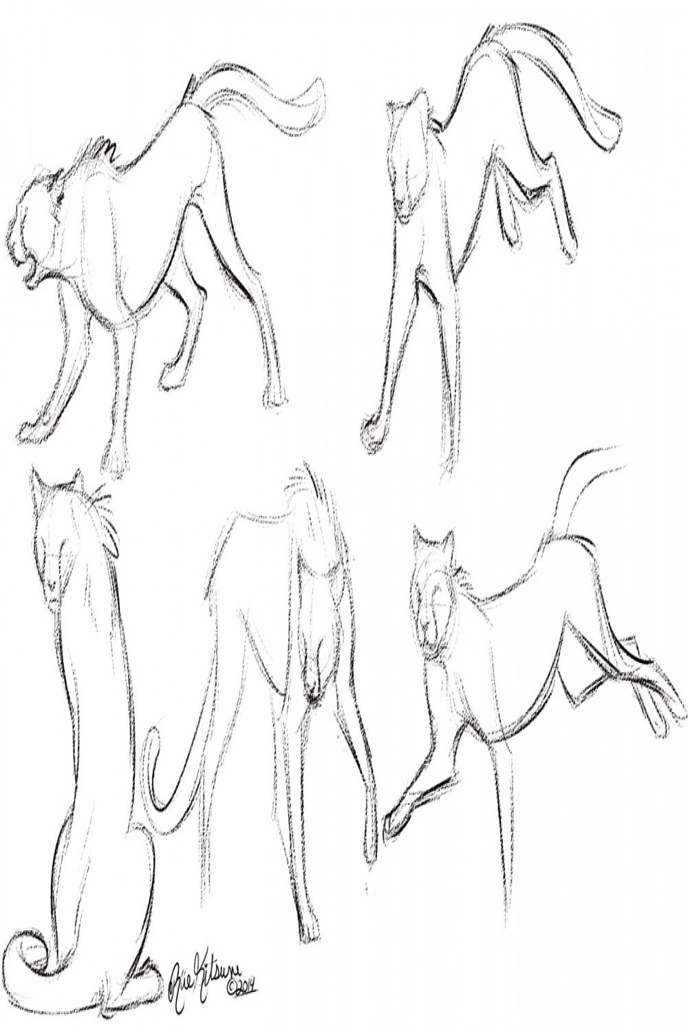 Cheetah Gestures — Weasyl