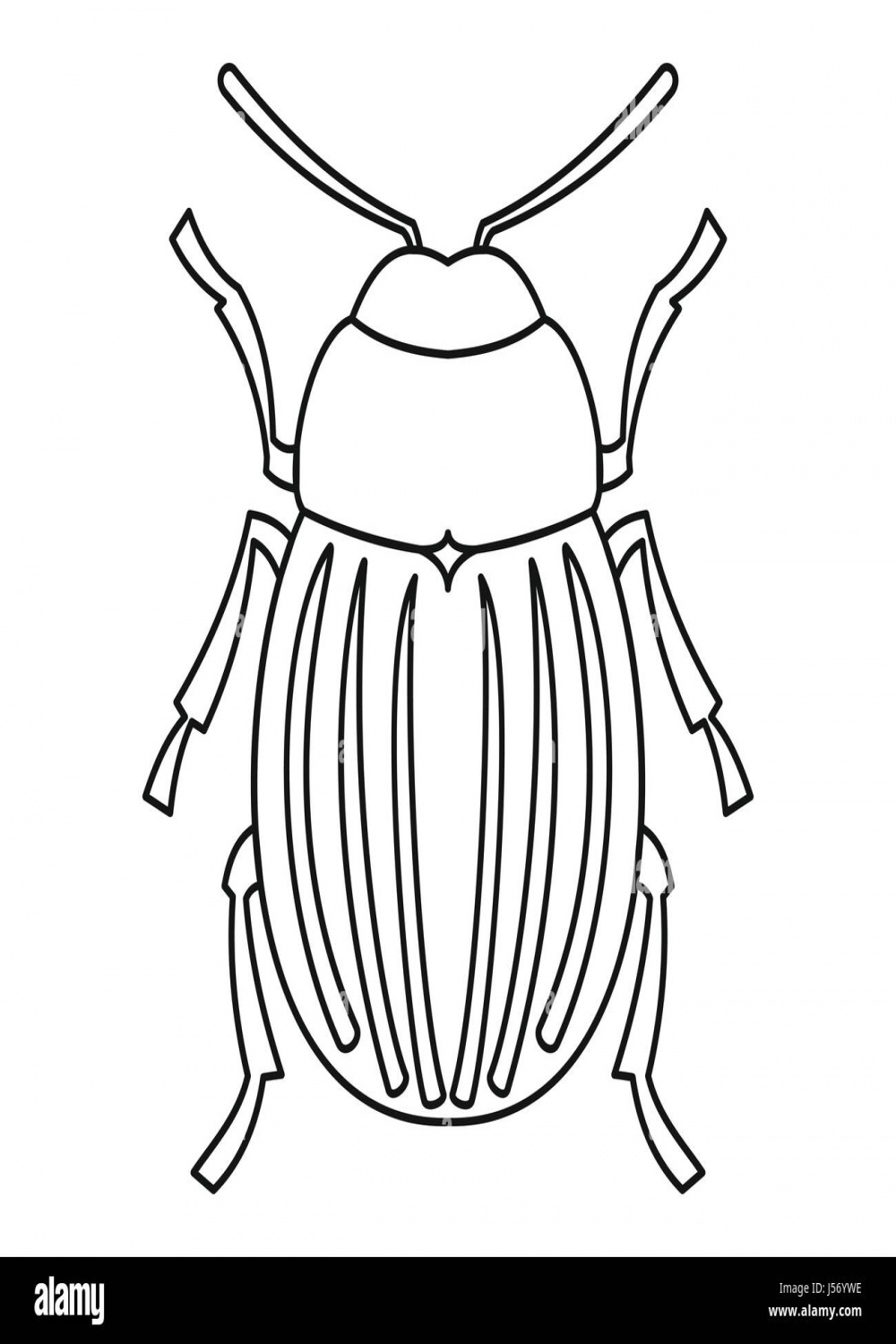 Colorado potato beetle icon, outline style Stock Vector Image
