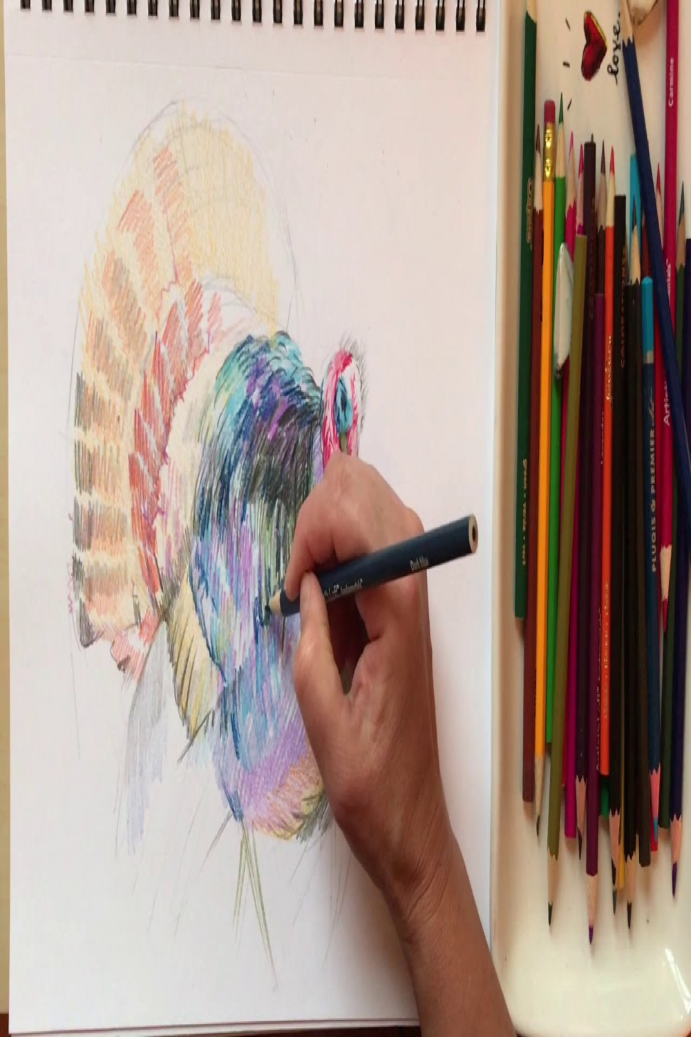 Colored pencil drawing " A Turkey," art lesson with Natalka Barvinok