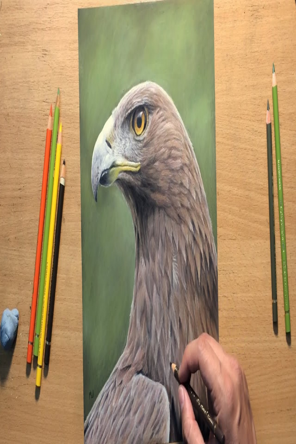 Colored Pencil Drawing of an Eagle