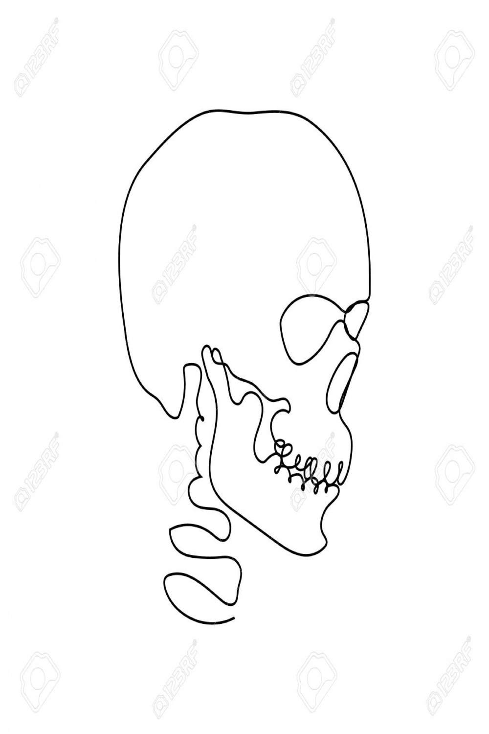 Continuous Thin Line Human Skull Vector Illustration, Minimalist