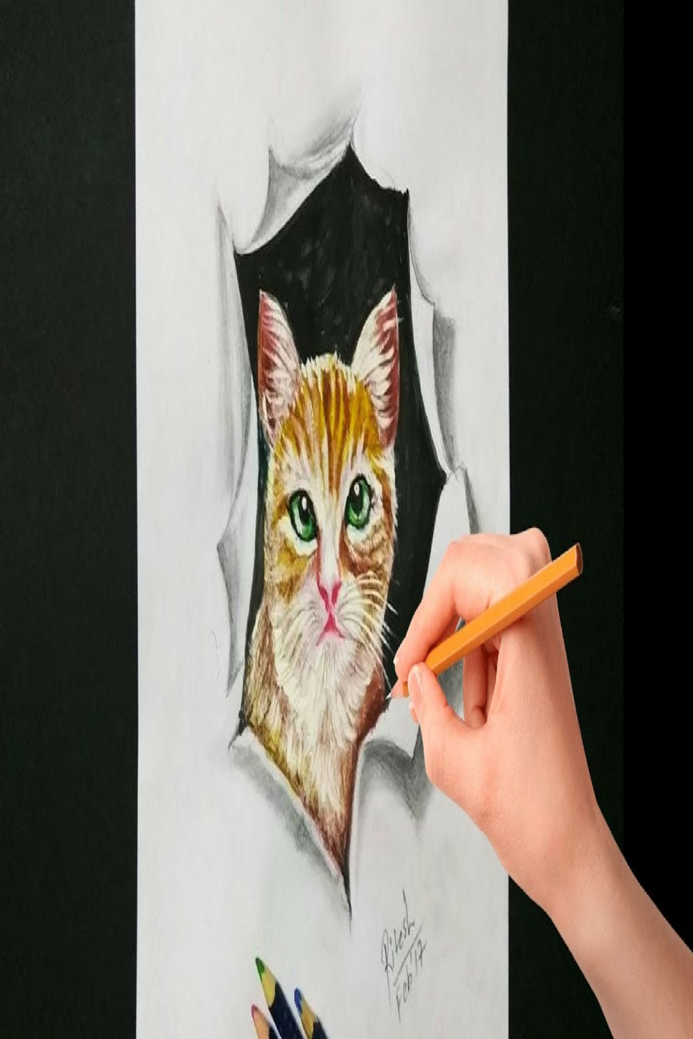 Cool d illusion art  Drawing D cat on paper  D Drawing tutorial for  kids