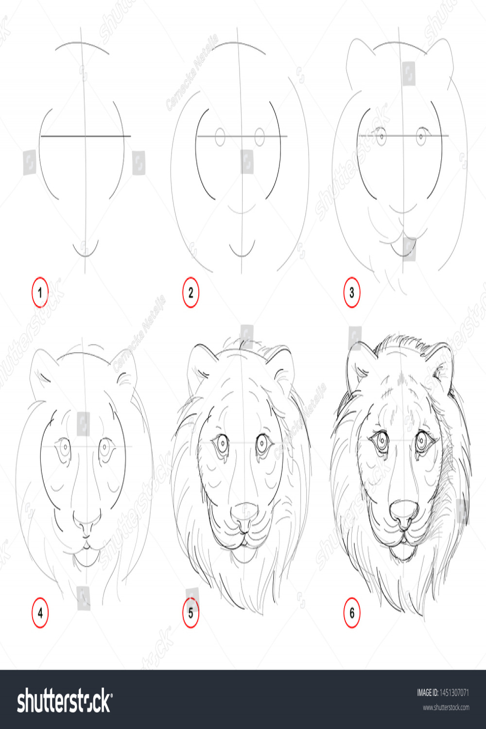 Creation Step By Step Pencil Drawing Stock Vector (Royalty Free