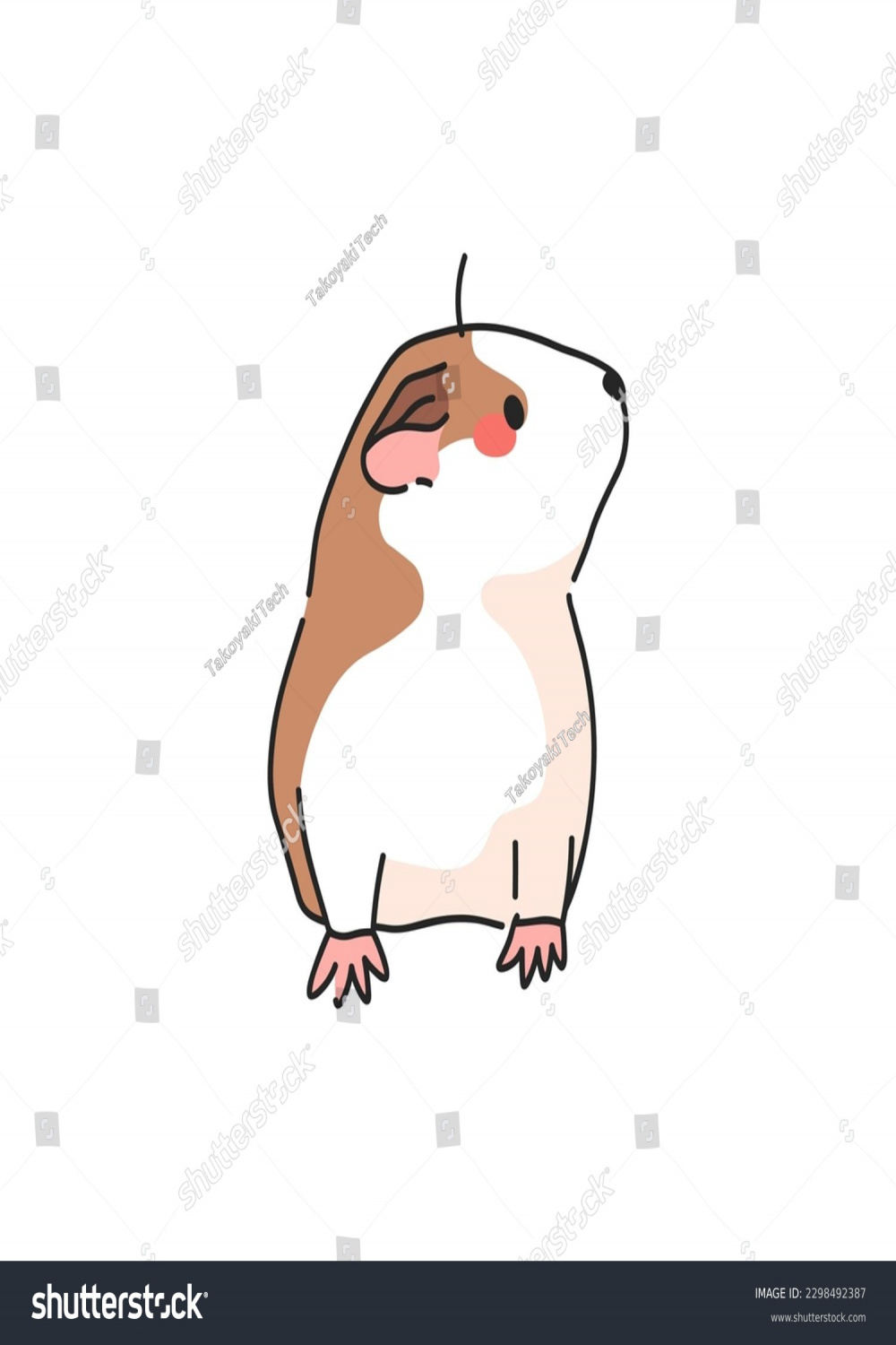 Cute Guinea Pig Popular Domestic Animal Stock Vector (Royalty Free
