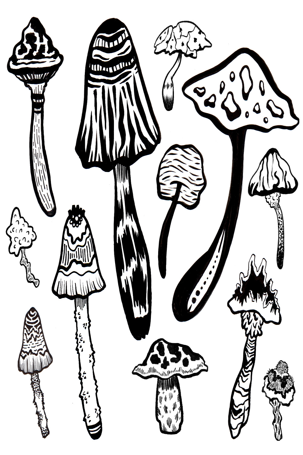 D Cartoon Mushrooms Black and White Illustration - Illustration