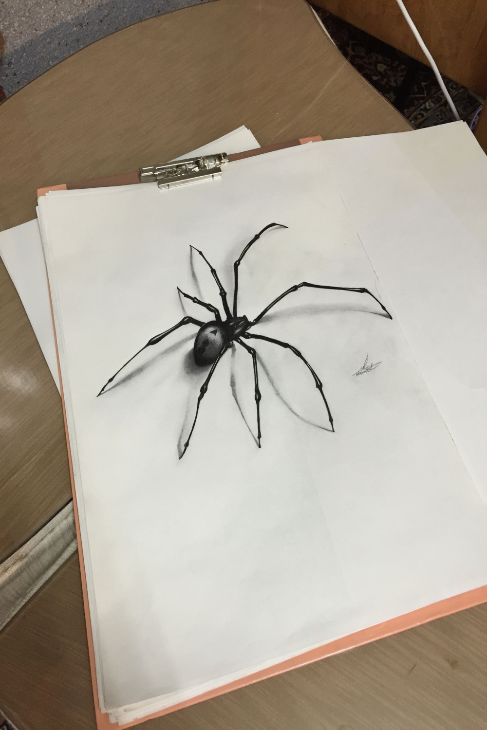 D Draw Spider  Spider drawing, Spider art, d pencil drawings