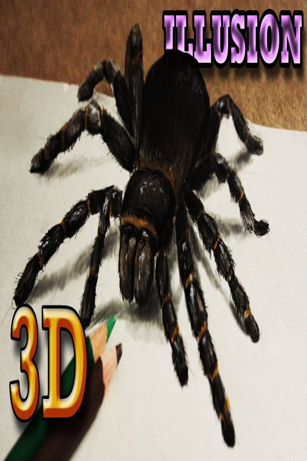 D Drawing Spider OPTICAL ILLUSION with colorpaperprincess  d drawings,  Illusions, Drawings