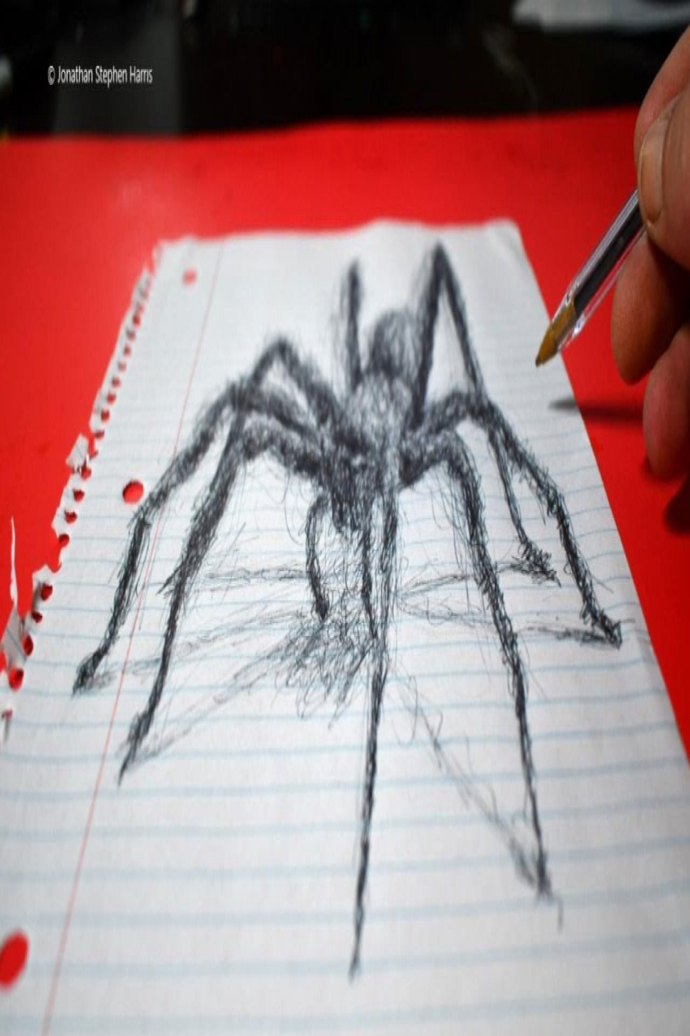 D Spider Drawing  Scribble Art / Optical Illusion