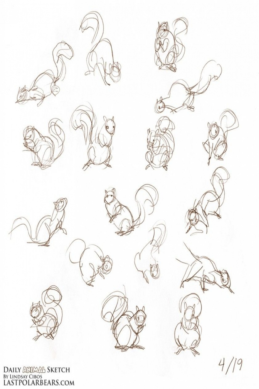 Daily_Animal_Sketch_  Animal drawings, Squirrel art, Squirrel